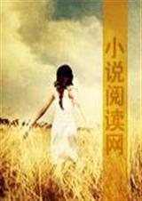 斗罗大陆之冰蝶满天飞免费阅读