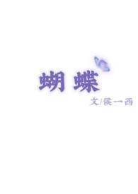 蝴蝶状飞行物