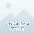 全民领主我的亡灵骷髅亿亿万断更了