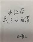 失忆后成了小白菜 作者日曜三