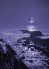暗夜与黎明电视剧在线观看