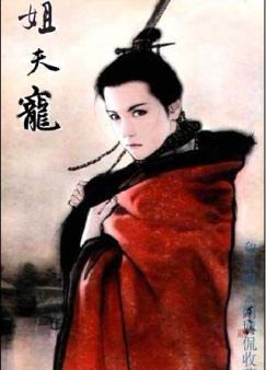 姐夫宠+番外(公子歌)