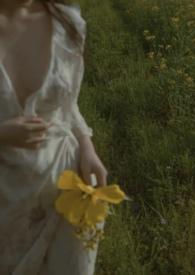 火玫瑰(骨科)阅读