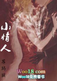 小情人(1v1)h作者苏玛丽