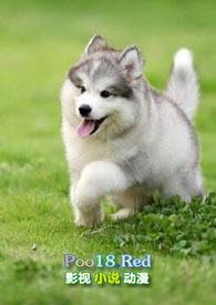 被年下小奶狗追是姐弟恋