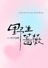 野生蔷薇的茎可以吃吗