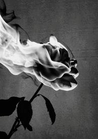 禁中非烟txt笔趣阁