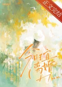 今天适不适合离婚