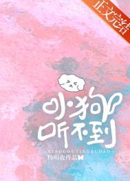 小狗听不到免费阅读全文晋江