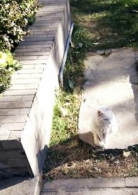 媚欢(上位)无三观笔趣阁秘书