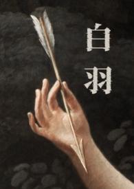 主角叫白羽