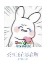 爱豆还在思春期(娱乐圈nph)作者石榴
