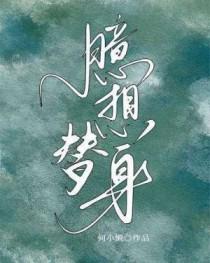 臆想替身何小懒免费阅读