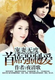 宠妻aa制首席爱妻如骨