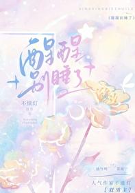 醒醒别睡了不续灯讲什么