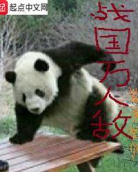 战国万人敌加料版