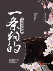 一条狗的使命原图