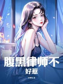 腹黑律师不好惹全文阅读