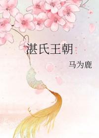 湛氏的现状
