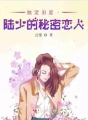 独宠旧爱陆少的秘密恋人