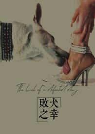 败犬出自哪里