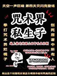 咒术回简介