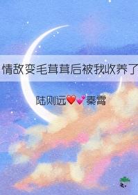 情敌变成了我的猫 百度