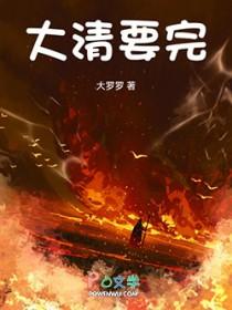 大清什么时候结束的