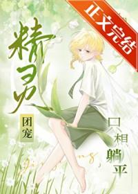 精灵团宠只想躺平 作者沐雨桔