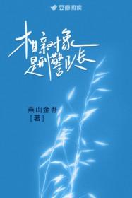 相亲对象是营长