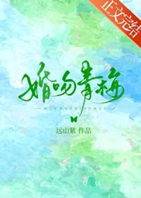 婚吻青梅明枝迟砚川txt番外