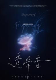 透骨香讲的什么
