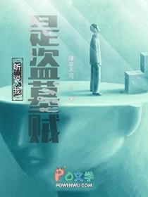 我是盗墓人