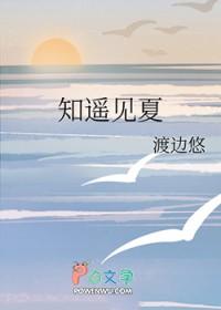 知遥一夏的