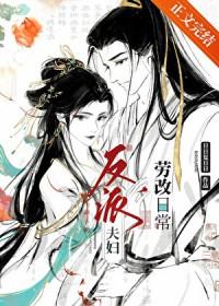反派夫妇改造日常讲的什么