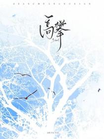 高攀txt