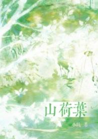 山荷叶图片花语