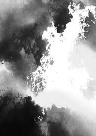 倾杯序个人简历