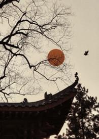 雀儿药粥全文免费阅读