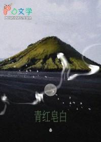 青红皂白指的是哪四种颜色