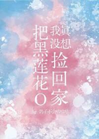 我真没想把黑莲花O捡回家免费阅读