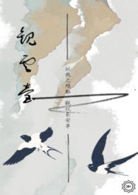 观云浓香型白酒52°什么价