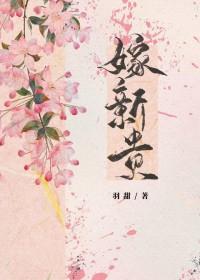 嫁新贵txt意己
