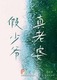 假少爷真老婆晋江