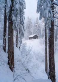 林场职工属于什么编制