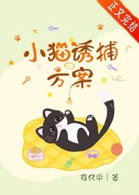 小猫诱捕方案TXT