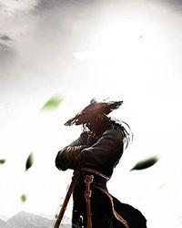 综武魔宋第一版主