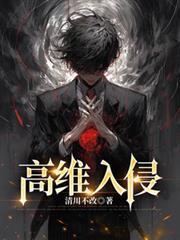 高维入侵 何安 tⅹt
