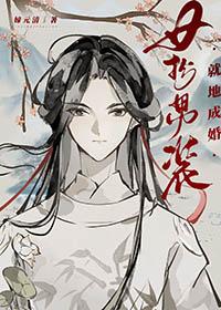 女扮男装娶男扮女装